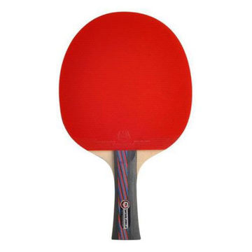 two handled racket